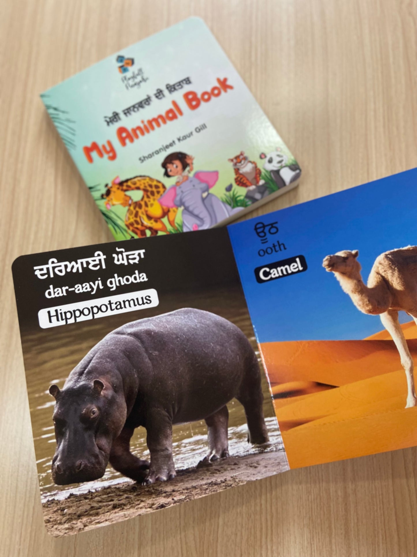 Punjabi Board Books Set For Kids- My Animal book & My Birds book