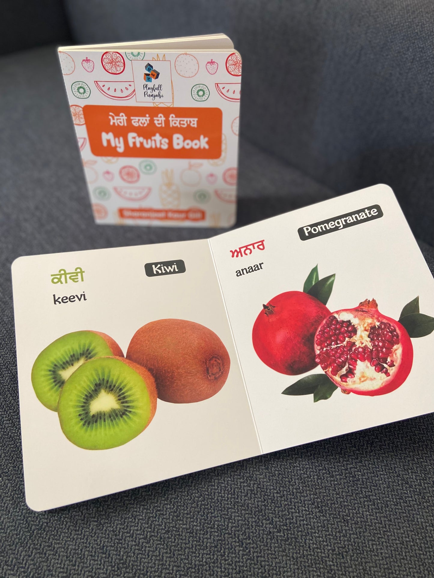 Punjabi Board Books For Kids- My Fruits Book & My Vegetable Book