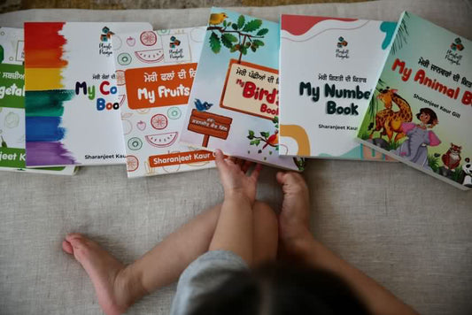 Punjabi Board Books For Kids- Set of 6 Books