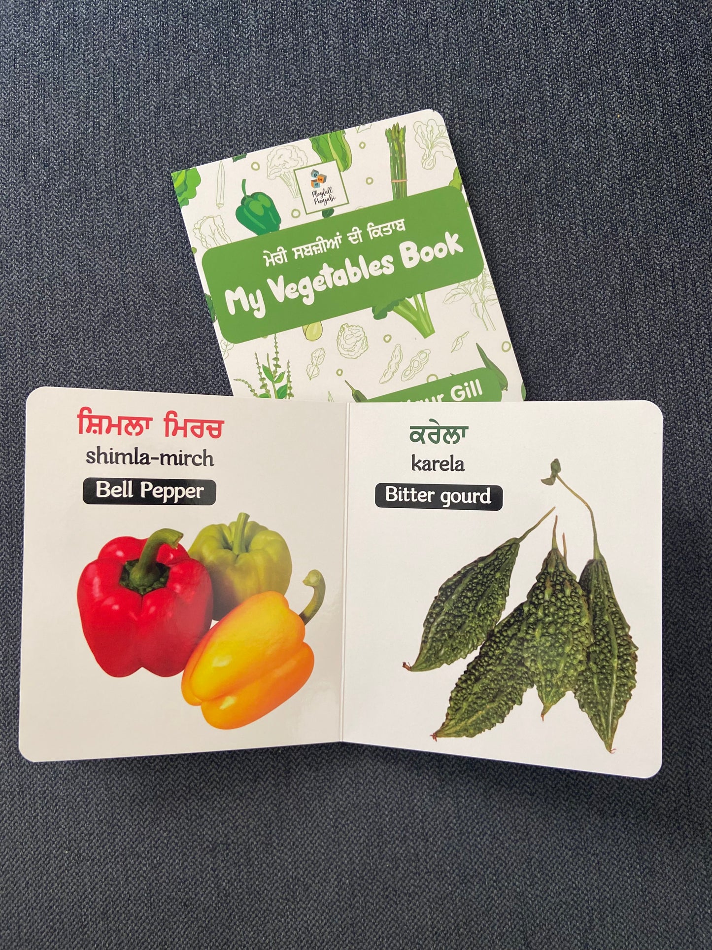 Punjabi Board Books For Kids- My Fruits Book & My Vegetable Book